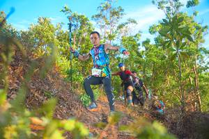 BIB: 
                            <button type="button" onclick="openModal(21838099)" class="btn btn-primary btn-sm float-right btn-popup" data-toggle="modal" data-target=".modal-high-quality">
                        <i class="fas fa-shopping-cart"></i> Add to Cart
                    </button>
                                            <button type="button" onclick="isThisMe(21838099, true)" class="btn btn-success btn-sm float-right btn-popup btn-isme hidden" data-toggle="tooltip" data-placement="bottom" title="นี่คือรูปของคุณใช่ไหม คลิกที่นี่เพื่อเอาเข้าอัลบั้ม">
                        <i class="fas fa-plus"></i> Add to album
                    </button>
                    <button type="button" onclick="isThisMe(21838099, false)" class="btn btn-warning btn-sm float-right btn-popup btn-isnotme hidden">
                        <i class="fas fa-ban"></i> Remove from album
                    </button>